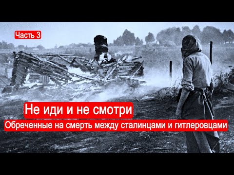 Не иди и не смотри. Обреченные на смерть между сталинцами и гитлеровцами.