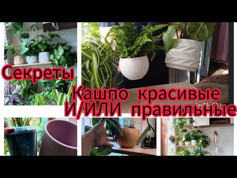 Какие у меня кашпо и горшки/для интерьера или для удобства растений? керамика или пластик?