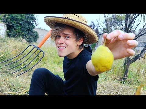 I Worked On A Psychedelic Farm in Mexico For 1 Week