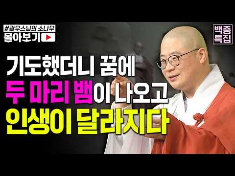 💫백중 특집💫 불행하던 삶! 진심으로 기도했더니 그날 꿈에 일어난 신비한 일 [초심으로 돌아가는 광우스님의 소나무 시즌3 몰아보기]