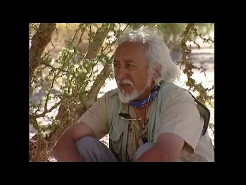 La Ruta de la Turquesa en el despoblado de Atacama