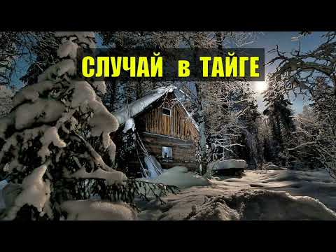 ДЕД в ТАЙГЕ ТАЁЖНЫЕ ИСТОРИИ 2025 ВСЕ СЕРИИ СЕРИАЛ АУДИОКНИГА ДОМ в ЛЕСУ ИСТОРИИ из ЖИЗНИ КНИГИ