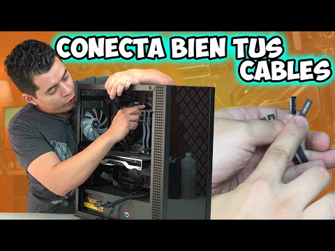 Donde se conecta cada cable en mi Computadora