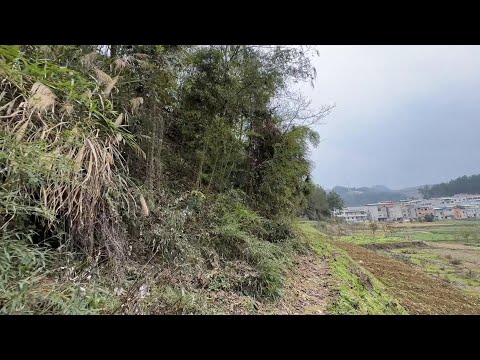 混得最成功鸟，小伙伴们看它吃肉都馋哭了 #动物  #动物趣事  #神奇动物 #人与自然 #动物世界  #鸟