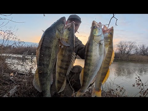 СУМАСШЕДШИЙ КЛЁВ КРУПНОГО СУДАКА! НАРВАЛСЯ НА ЖОР РЫБЫ ПЕРЕД ЗИМОВКОЙ. АСТРАХАНЬ.