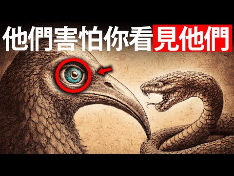 托特 教会 被选中的人 如何 用 肉眼 看见 阿尔孔特 —— 这是他们 最为恐惧 的事情