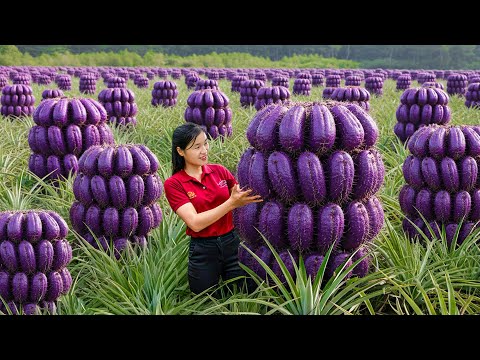Full Video — Harvesting GIANT Strange Fruit That Looked SO Weird at Market Most Satisfying 4K