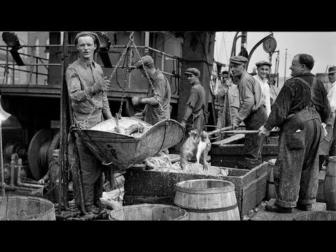 How the Mob Controlled 100 Million Pounds of Fish Every Year