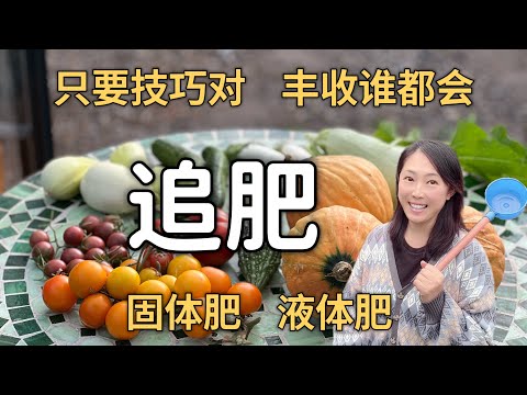 【Garden】 How to fertilising organic vegetables and fruits 施肥要有技巧，有机种菜用什么肥料追肥，各种固体肥、液体肥，一次讲个明白