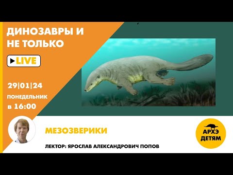 Занятие "Мезозверики" кружка "Динозавры и не только" с Ярославом Поповым