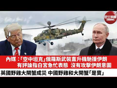 【晨早直播】內媒:「空中坦克」俄羅斯武裝直升機馳援伊朗。有評論指白宮急忙表態,沒有攻擊伊朗意圖。英國野雞大閘蟹成災,中國野雞和大閘蟹「是寶」。26年2月3日