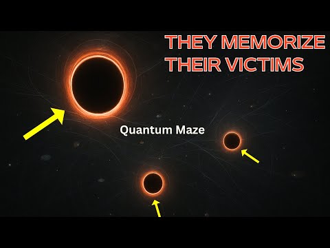Quantum Maze !? The Supermaze Hypothesis Explained!