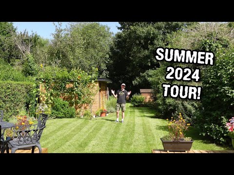Garden tour August 2024 - Sunflowers, Marigolds, Zinnia and Tomatoes!