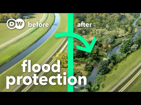 Why straightened rivers worsen floods