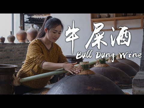 牛屎酒—傣族人存酒的特殊方式 【滇西小哥】