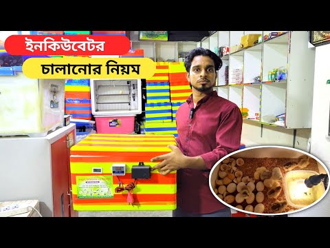 সেমি অটো ইনকিউবেটরে ডিম ফুটানোর নিয়ম ২০২৪ | ইনকিউবেটর চালানোর নিয়ম