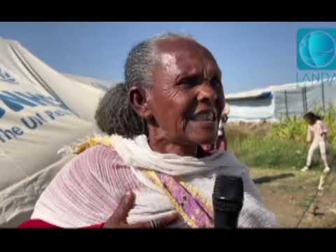  ህጻን ቆልዓ ቅሳነት ብዝብኢ ዝተናኸሰት ኣብቲ ዝነበረ ከባቢ ህዝቢ ተረባሪቦም ካብ ኣፍ መንጋጋ ዝብኢ ኣትሪፎማ ኣለዉ ሰማዒ ዝሰኣነ ህዝቢ 