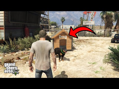 GTA 5 - How to Tame Chop as Trevor ( Trevor's Dog)