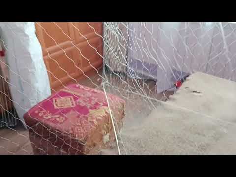 Готовые хапуги