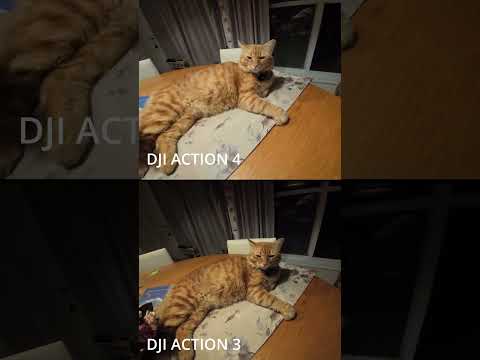 DJI ACTION 3 vs 4