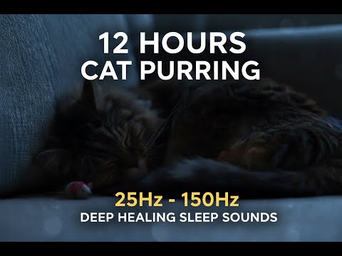 12 HOURS CAT PURRING (25Hz - 150Hz) | Healing Frequencies for Sleep, Anxiety & Bone Repair