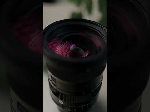 This Sigma 24-70mm f/2.8 is Criminally Underrated