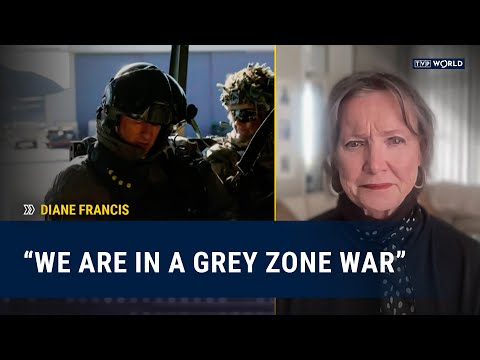“Europe is sleepwalking into war” | Diane Francis