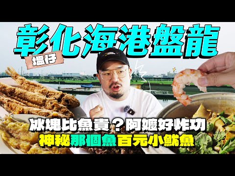 彰化塭仔漁港盤龍！冰比魚貴？史上最便宜！酥炸馬頭魚，三百元爆吃花枝蛋鮑魚！死活真的都一樣嗎