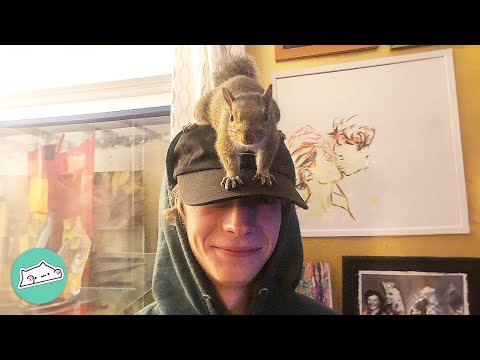 Brave Squirrel Learns To Find Love After He Was Abandoned by Mother | Cuddle Buddies