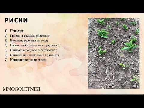 1ч. "Как начать питомник многолетников",  Яна Колдина