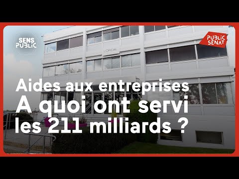 Business aid: what were the 211 billion used for?