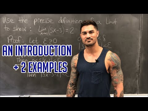 The Precise Definition of a Limit