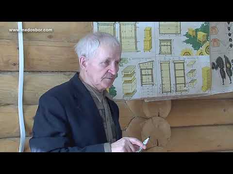 Кашковский В Г  о ульях Дадан