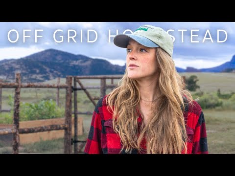 An Average Day in the Life // Homestead in the making