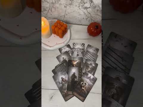 Все Встает на Свои Места 🔥☀️💯