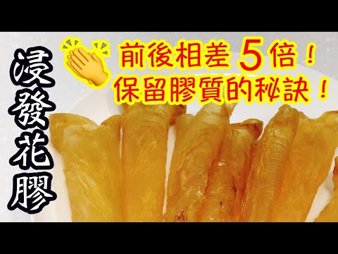 浸發花膠的要訣✨詳細步驟🎖保留最多膠質👏🏻去除腥味👍🏻發起前後相差5倍😙｜How to rehydrate fish maws