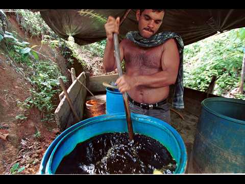 Making Cocaine with Gasoline, One Of The World's Most Dangerous Jobs