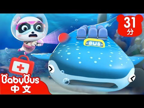 鯨鯊巴士出事了 | 毛毛躁躁的魔鬼魚 | 奇妙救援隊 S2EP03 | 海底動物認一認 | 科普啟蒙 | 貓熊動畫 | 卡通片 | BabyBus | 寶寶巴士