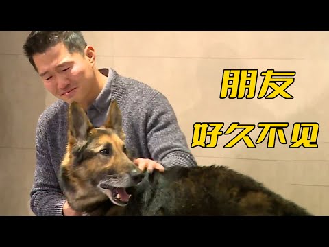 分別八年的狗，重逢後還會記得主人嗎？請備好紙巾觀看