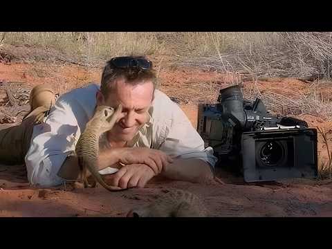 Wild Animals SHOCK Photographers in the Cutest Ways🤪