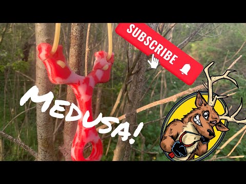 New frame “Medusa” tube and flat band shooter. Leightons Cattys