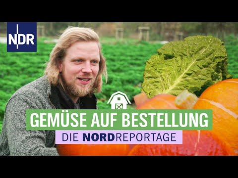 Biobauer Björn Friedrichsen geht beim Gemüseanbau neue Wege | Die Nordreportage | NDR
