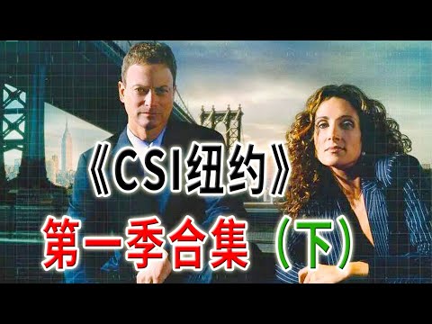 高分下飯神劇《犯罪現場調查：紐約》第一季合集（下）