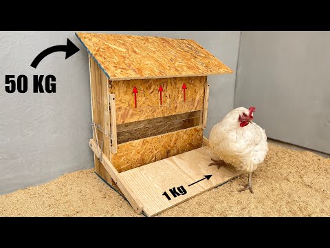 50 Kg Tavuk Yemliği | Otomatik Tavuk yemlik Nasıl Yapılır