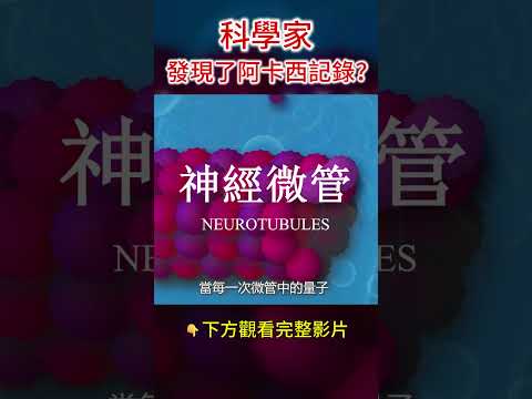 科學家找到阿卡西記錄? #shors #阿卡西記錄 #零點場 #八方思見說