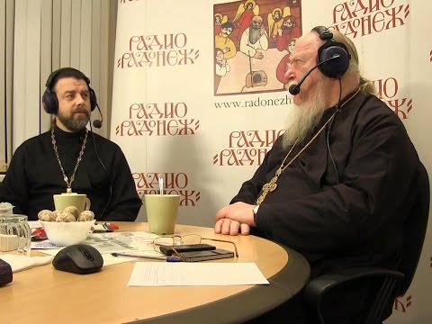 Радио «Радонеж». Протоиерей Димитрий Смирнов. Видеозапись прямого эфира от 2014.11.29