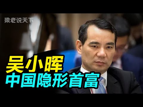 【梁老说天下】比恒大还猛的雷！吴小晖如何用5亿撬动2万亿，最终一夜崩塌？#梁老故事会 #梁老