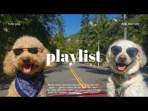 🎧 Change the mood?🌿 Emotional Hip-Hop Concert 💿 Groove-Filled Playlist