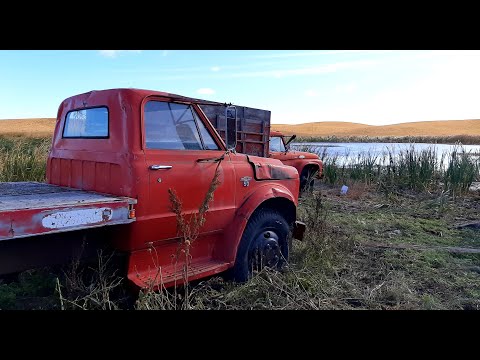Will This Retired 1969 Chevrolet C50 Truck RUN AND DRIVE?