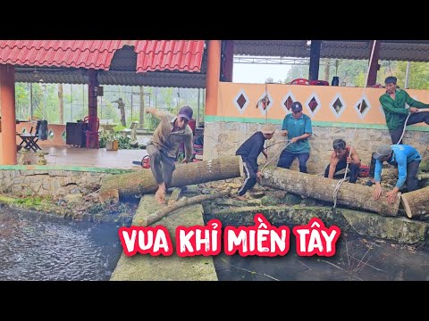 The Monkey King Group sawed off the entire Sao Kho tree trunk to create the 3-Level Waterfall in ...